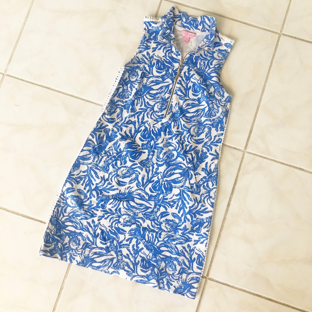 Lilly Pulitzer Skipper Dress On a Roll